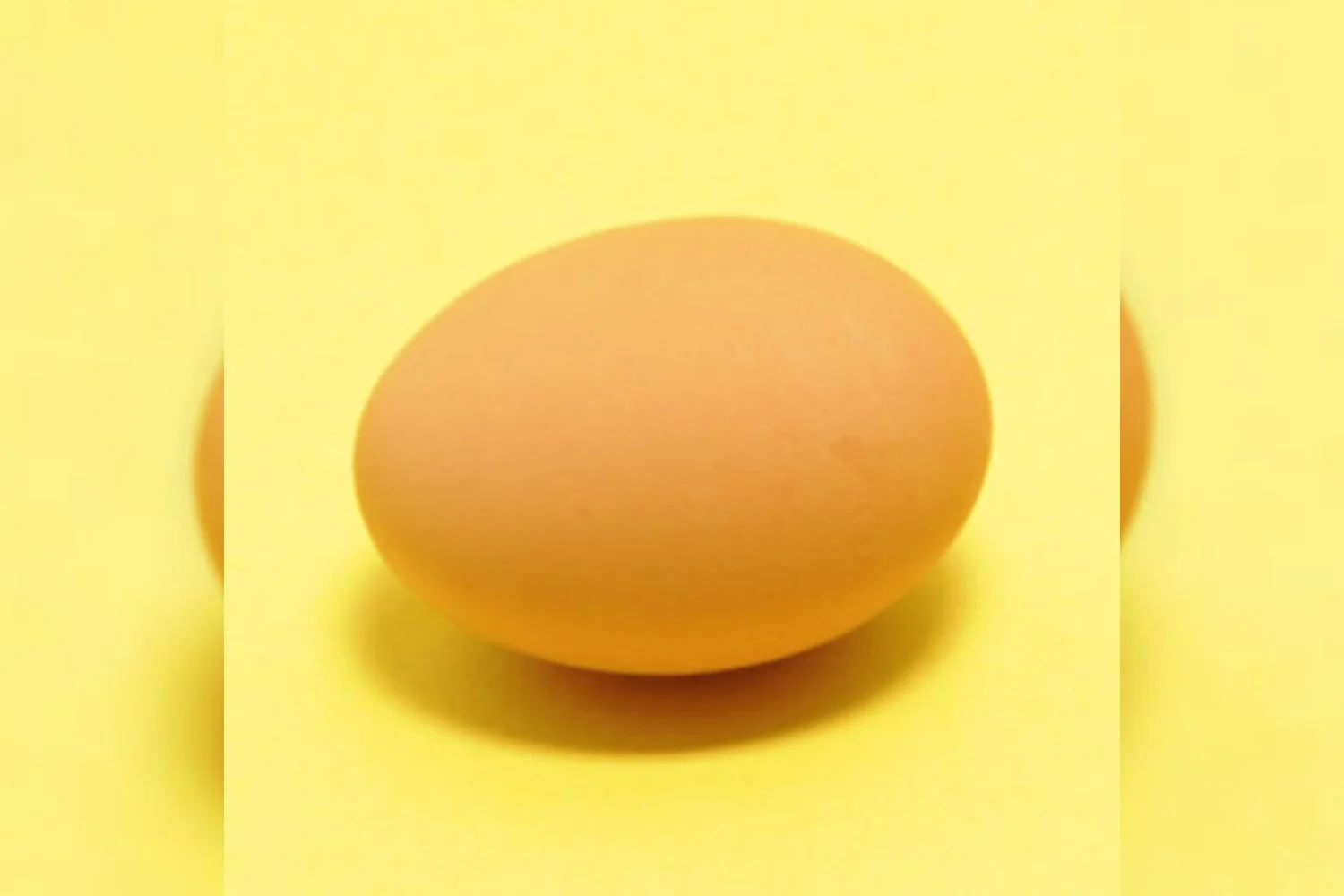 De eredivisie volgens Ted van der Meer