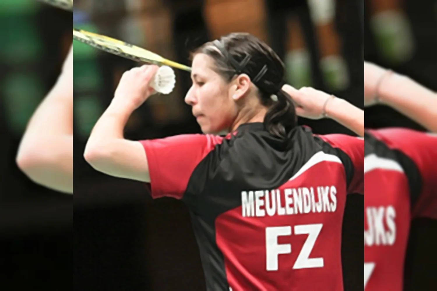 Samenwerking met Ron Dani&euml;ls