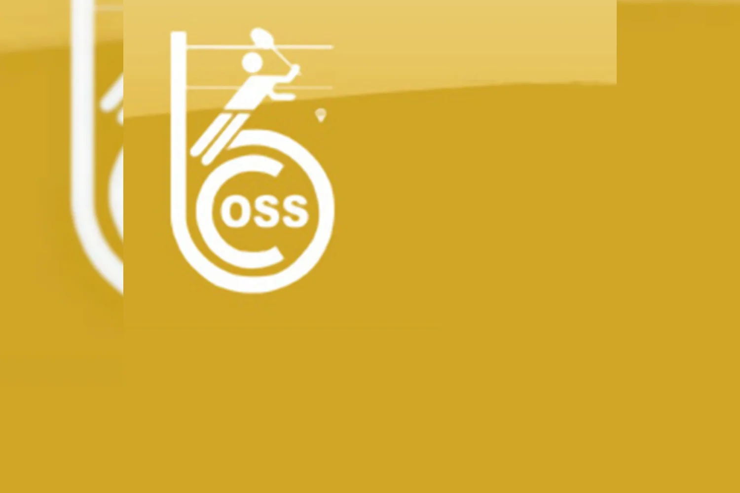 BC Oss op zoek naar 3e divisie dames