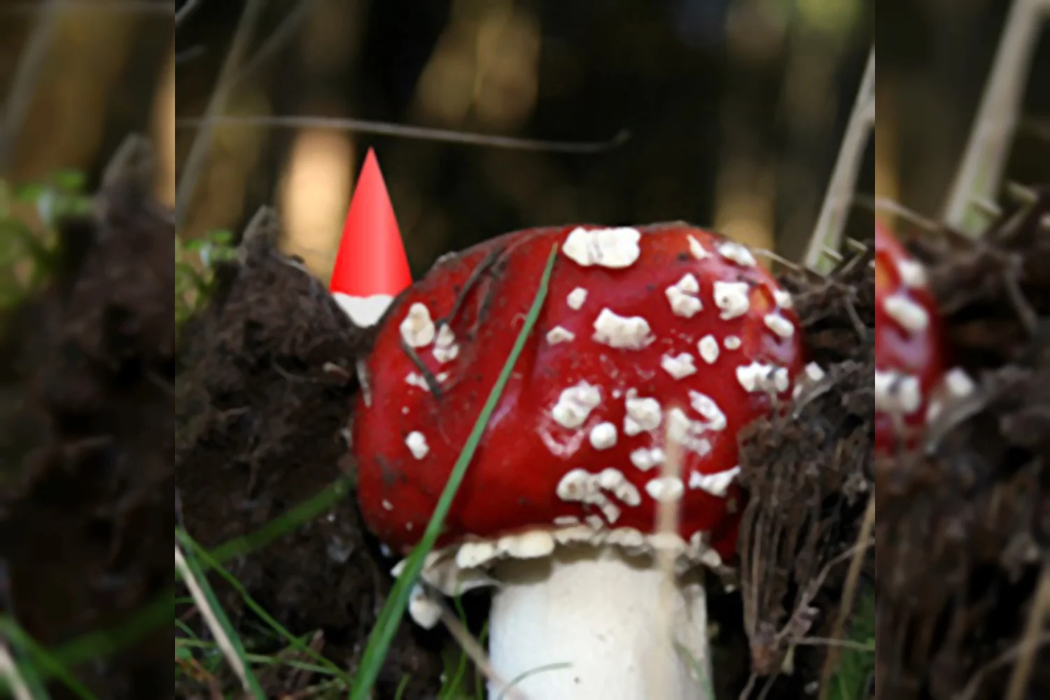 Geridderd bestuurslid uitgebakken