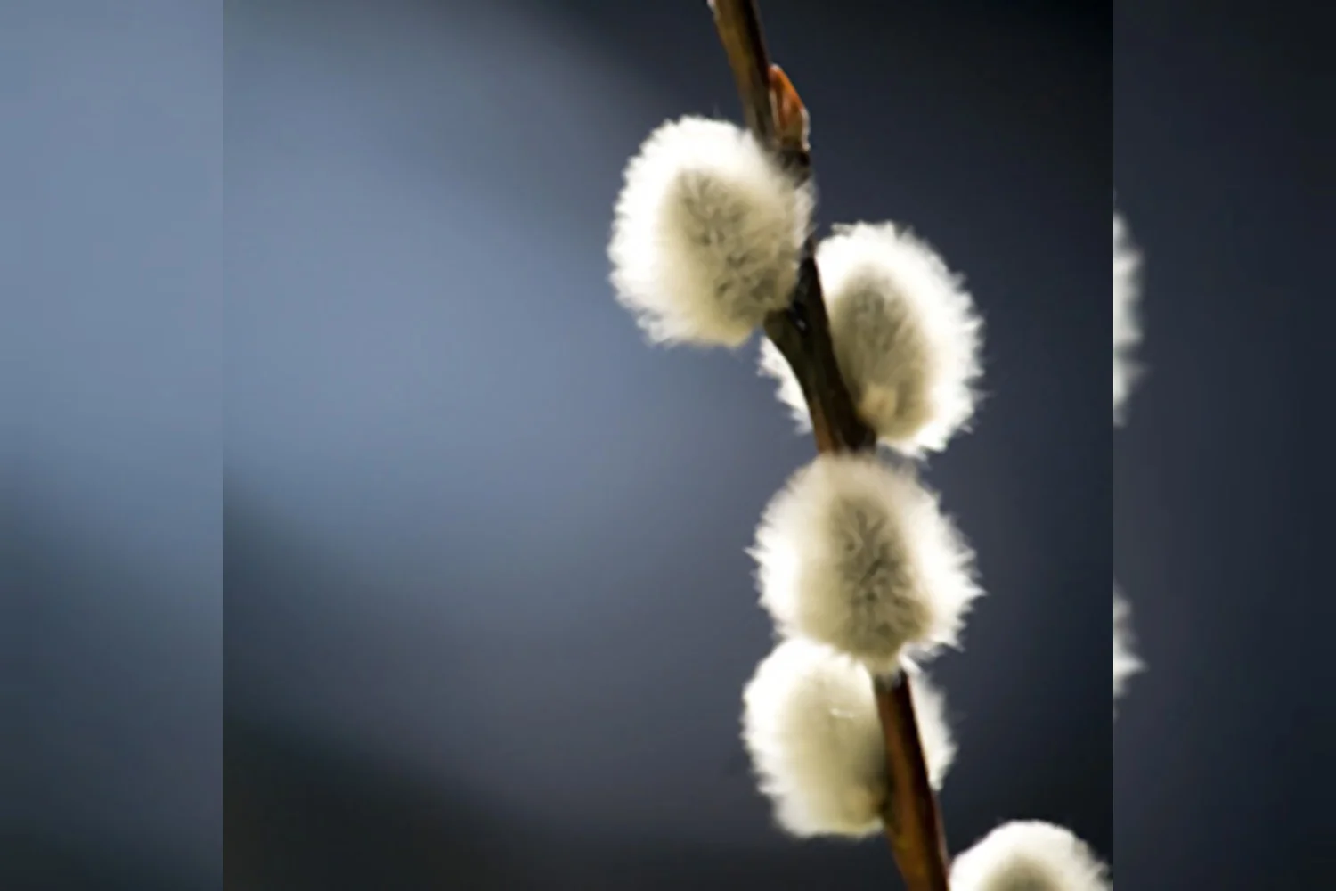 Het is even rustig geweest