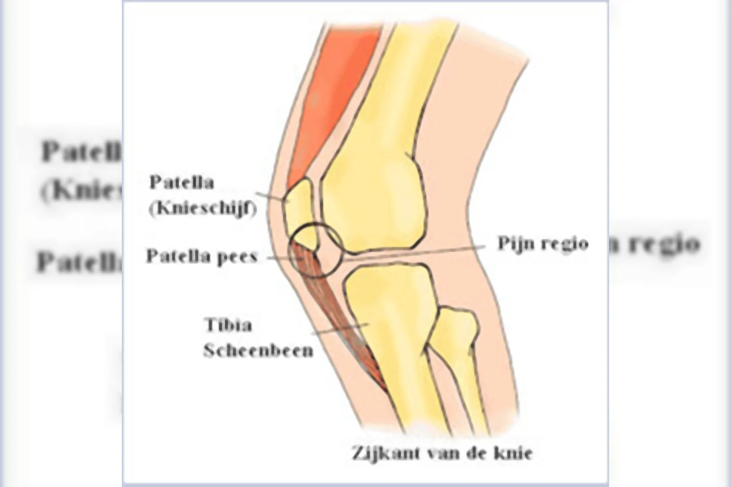 Josephine Wentholt: Even een update!