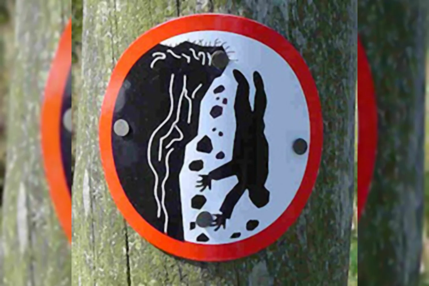 Het bestuur is gevallen over het Yonex-contract