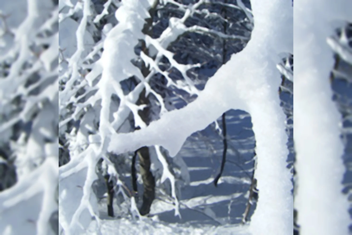 Winterstage begin januari in Zwijndrecht (BelgiÃ«)