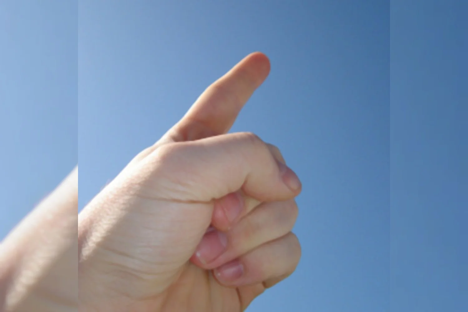 Ted van der Meer in BadmintonInfo over Ron DaniÃ«ls