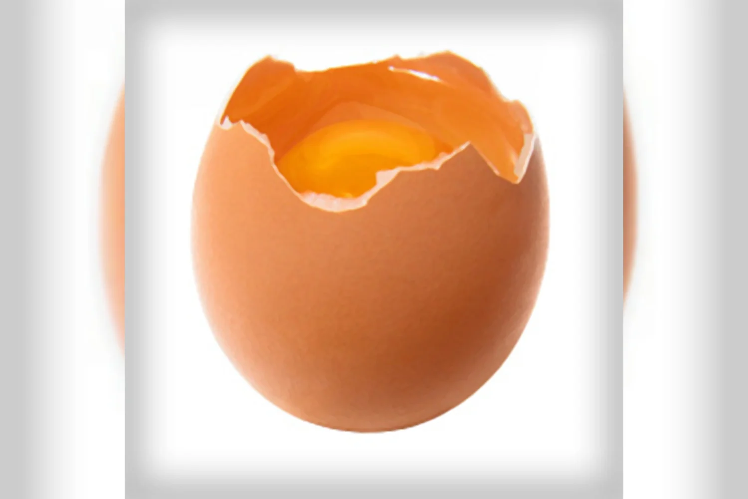 Wat Ted zegt, zeggen de kippen ook