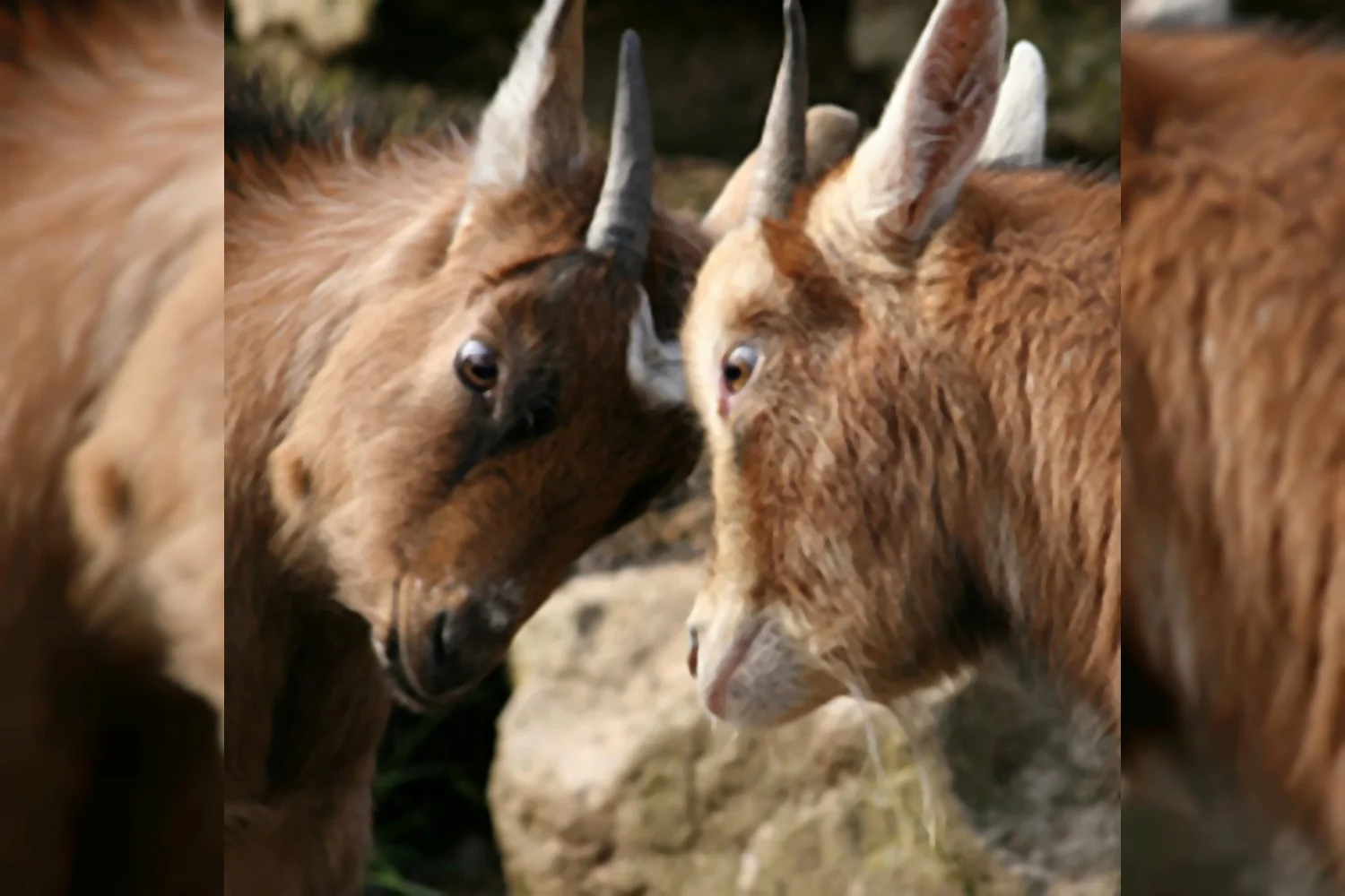 Francien van der Aar: 'Respect!'