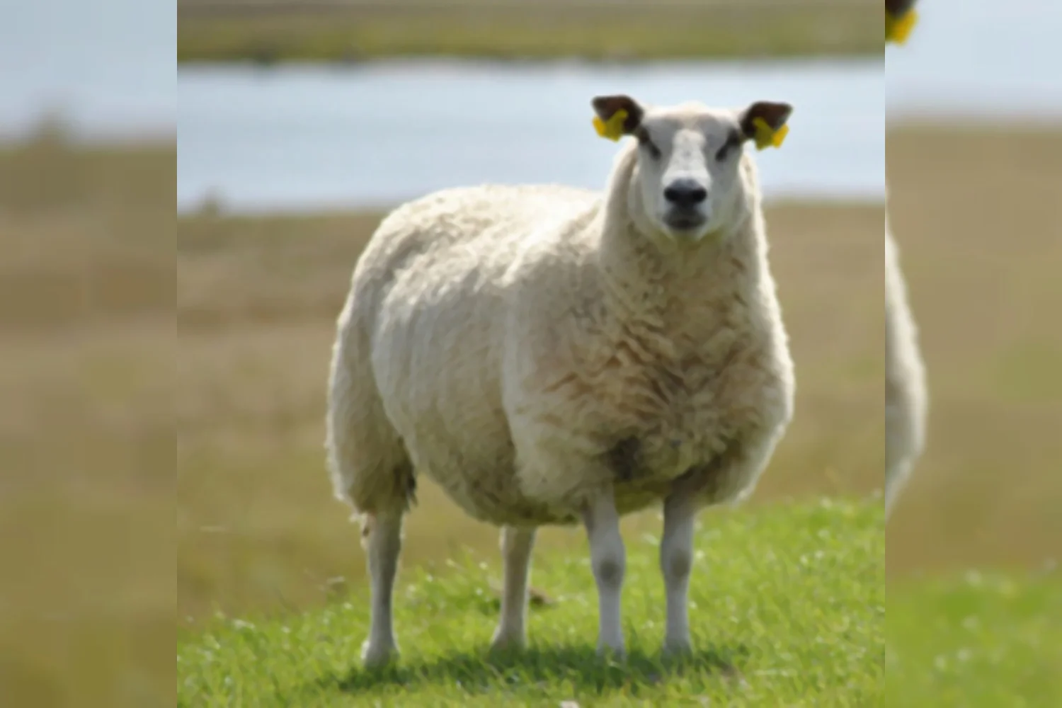 Zo jongens, weer lekker actief geweest op de baan?!