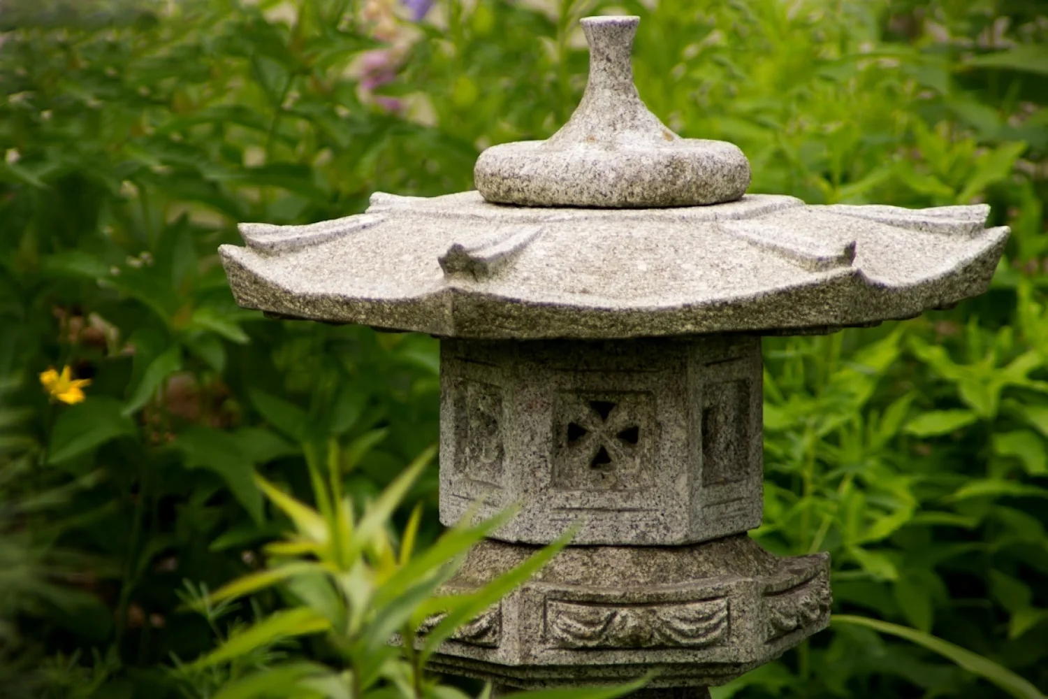 Aziaten schakelen Nederlanders uit?