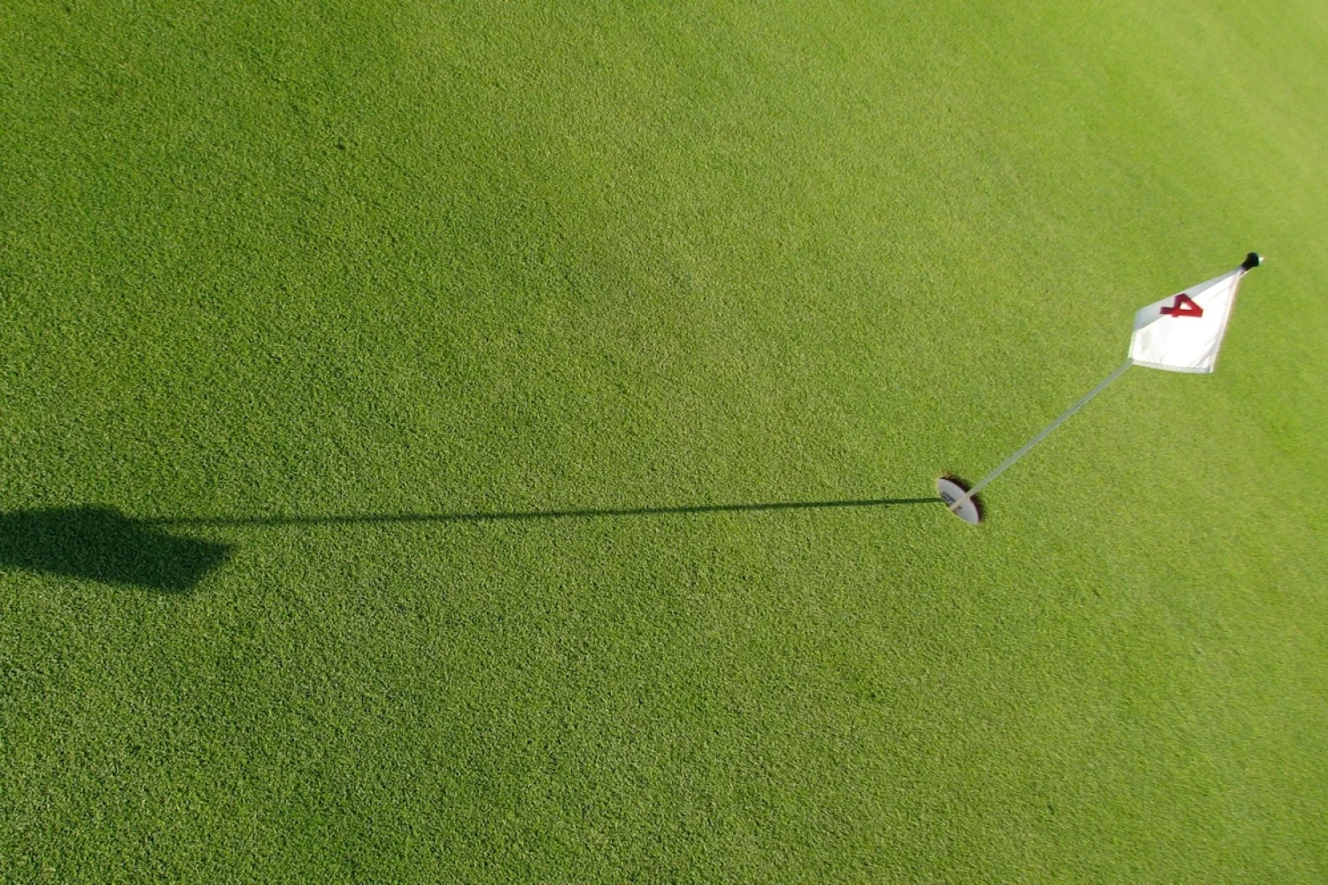 Als loper de rolstoel in: is dat echt een probleem?