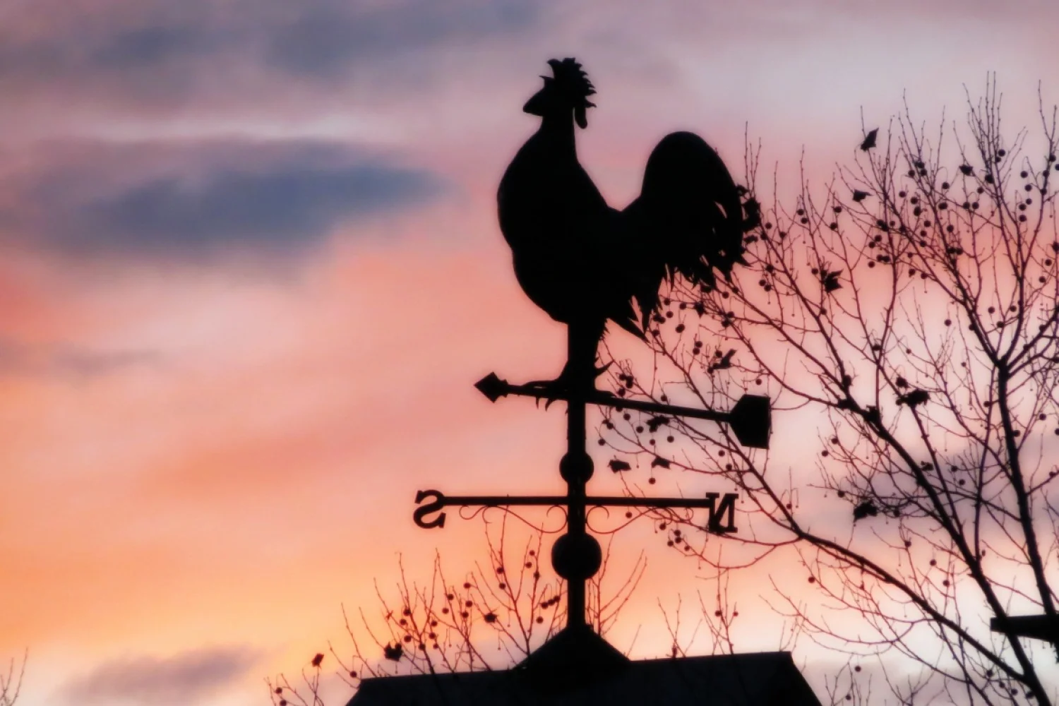 De biologische klok van bondscoach Rune Massing