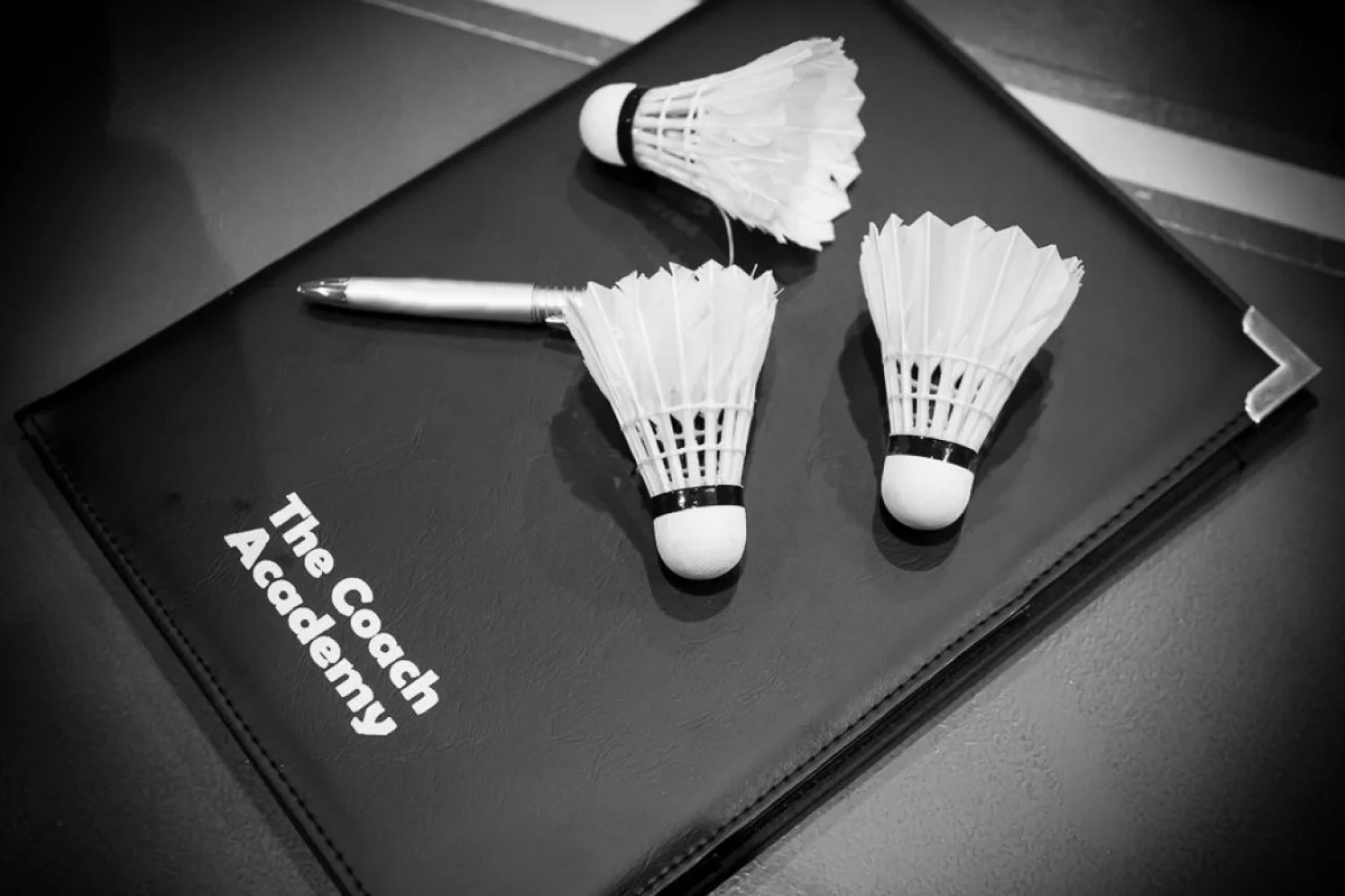 The Coach Academy 2015 (17 t/m 21 juli, Herentals)