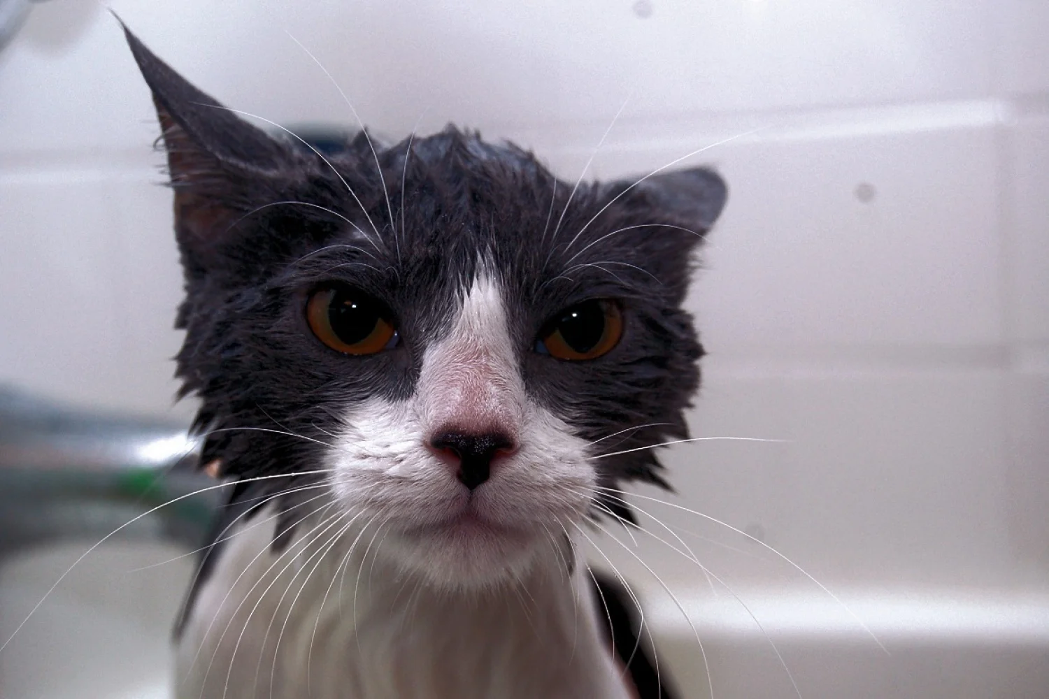 Man man man, wat zit er toch veel oud zeer