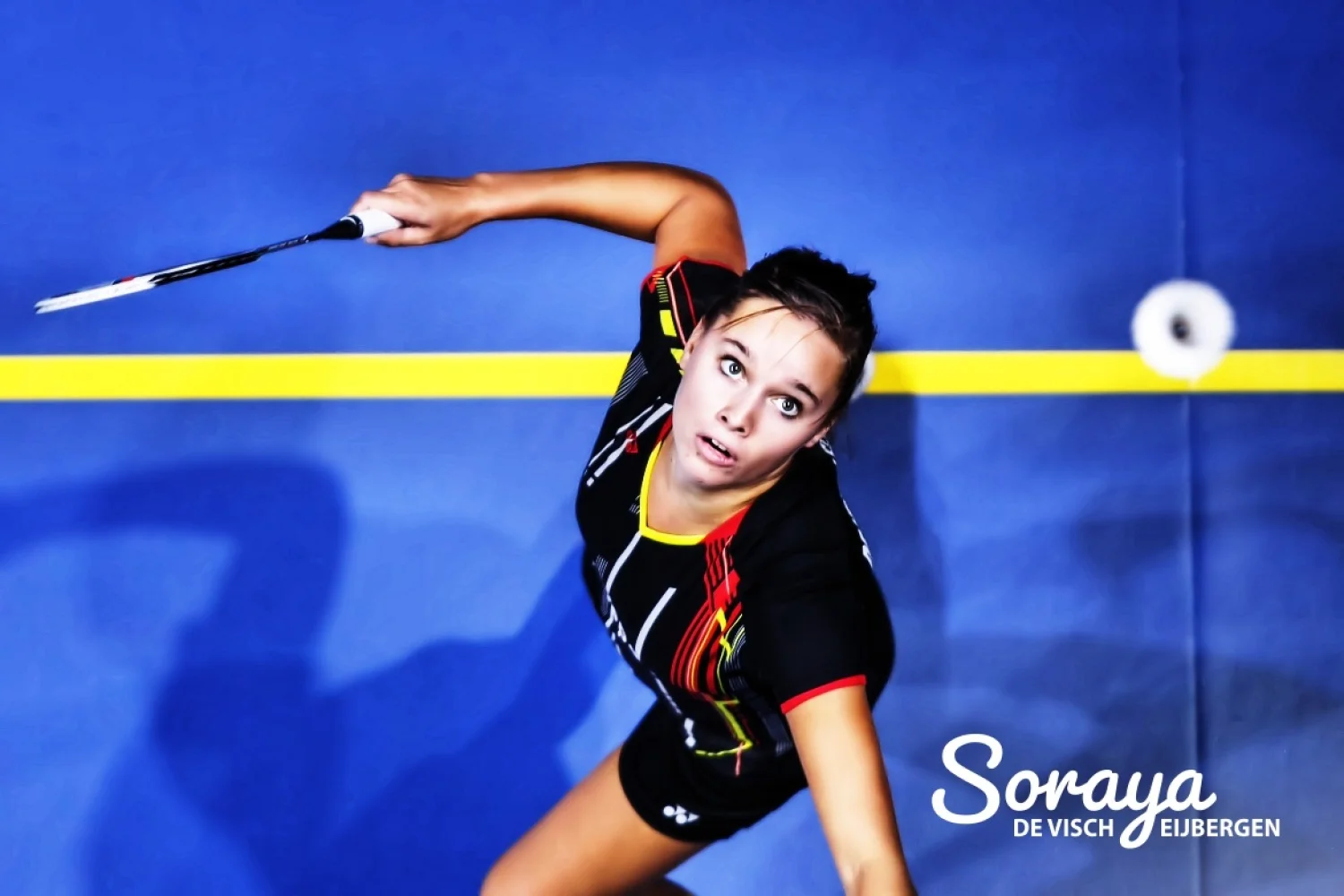 Early exit for De Visch Eijbergen in Irish Open 2015