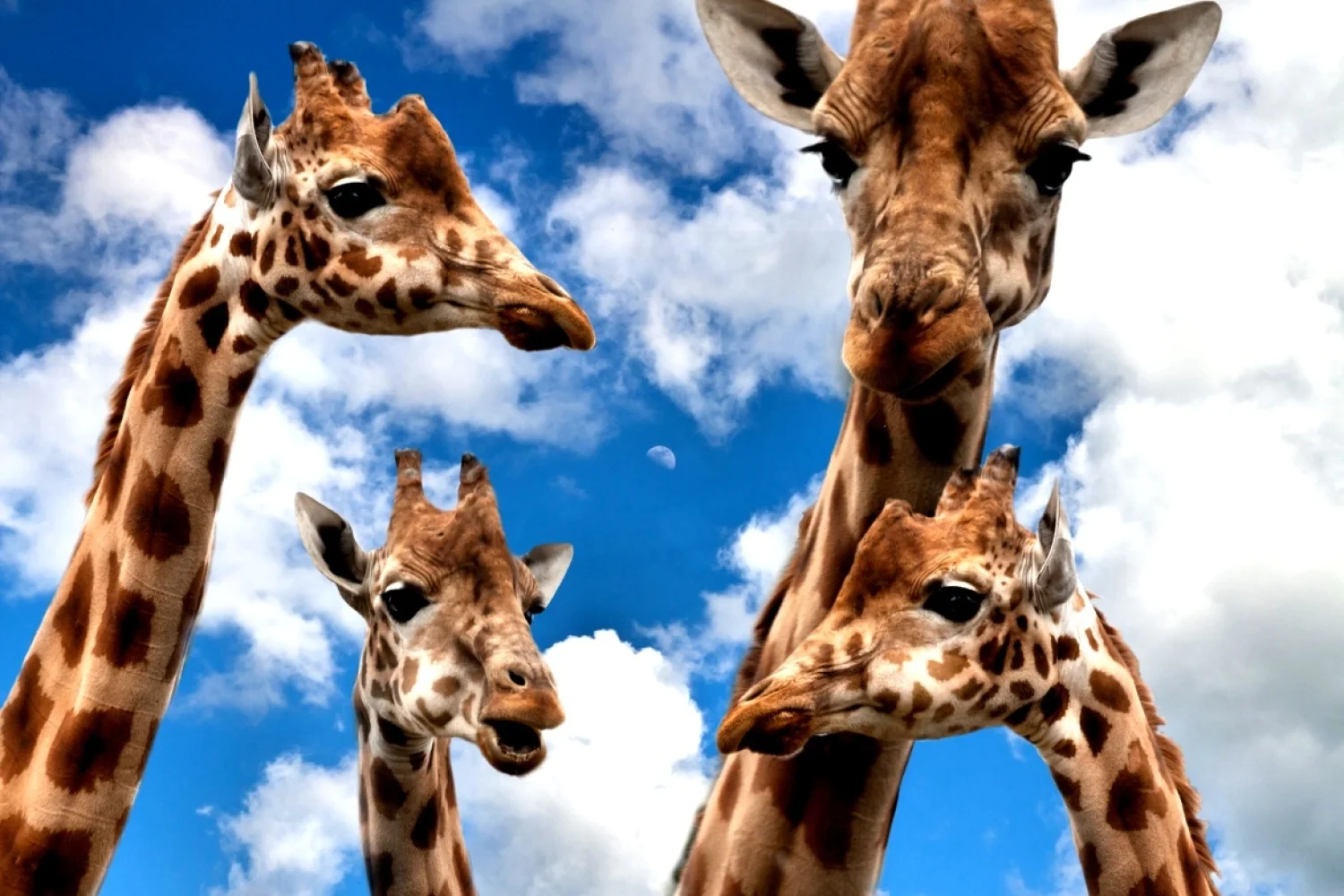 Verkennende gesprekken voor de toekomst