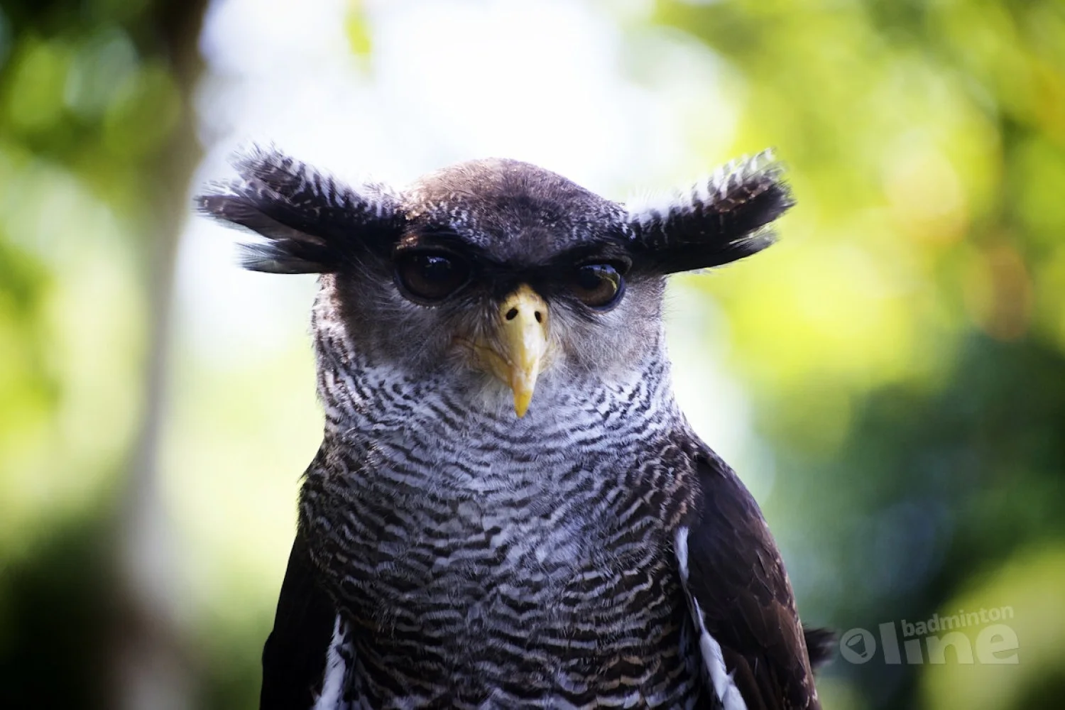 Een succesvol verlopen seizoen met een kijk naar de toekomst