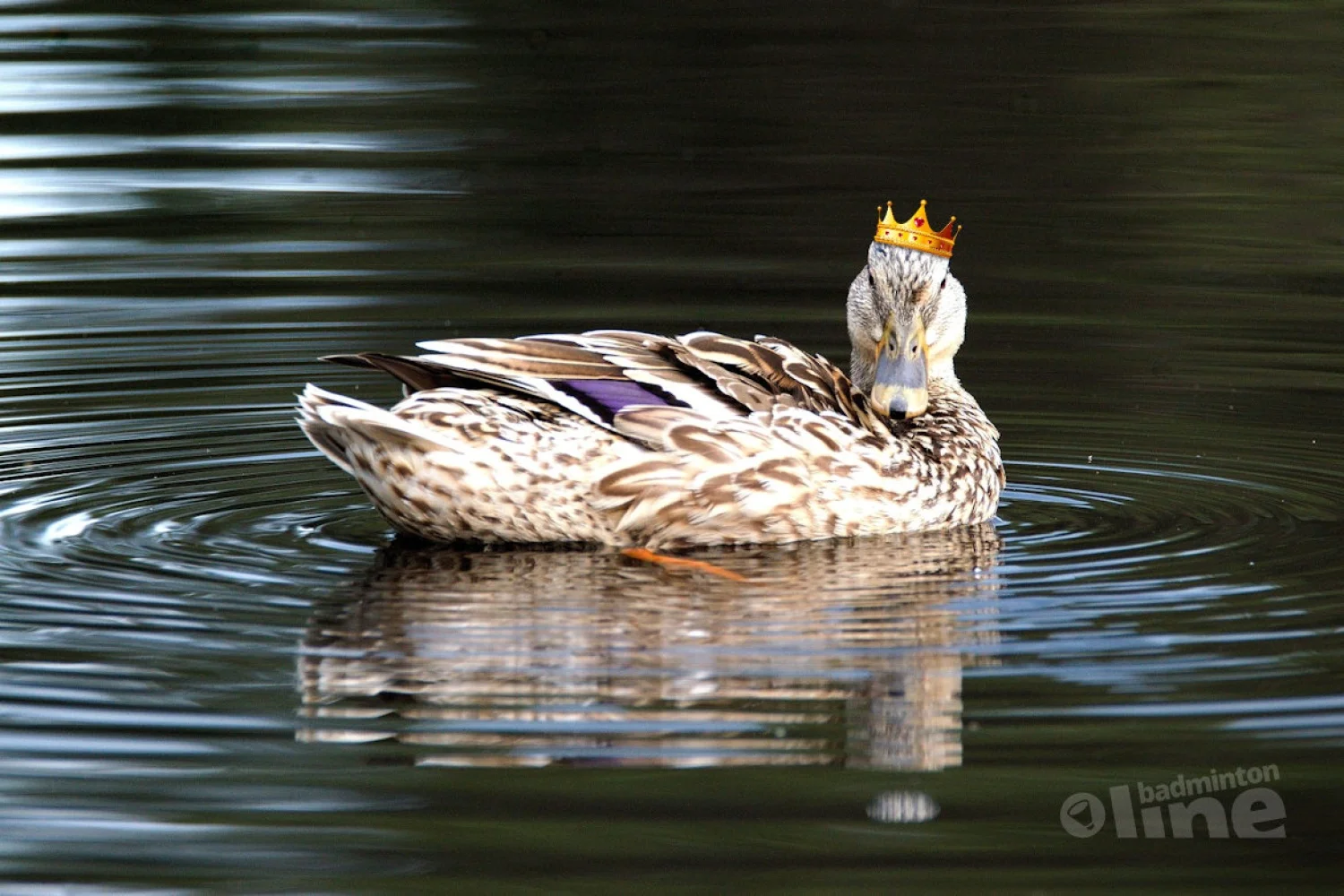 Talentontwikkeling: een vreemde eend