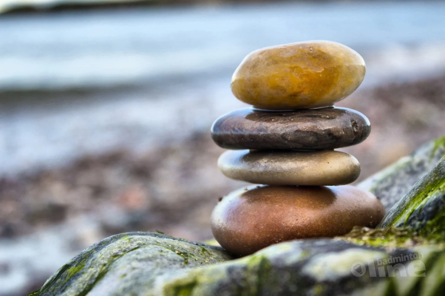 Absolute aanrader voor badmintontrainers: bijscholing Core Stability door Aad van Zeijl