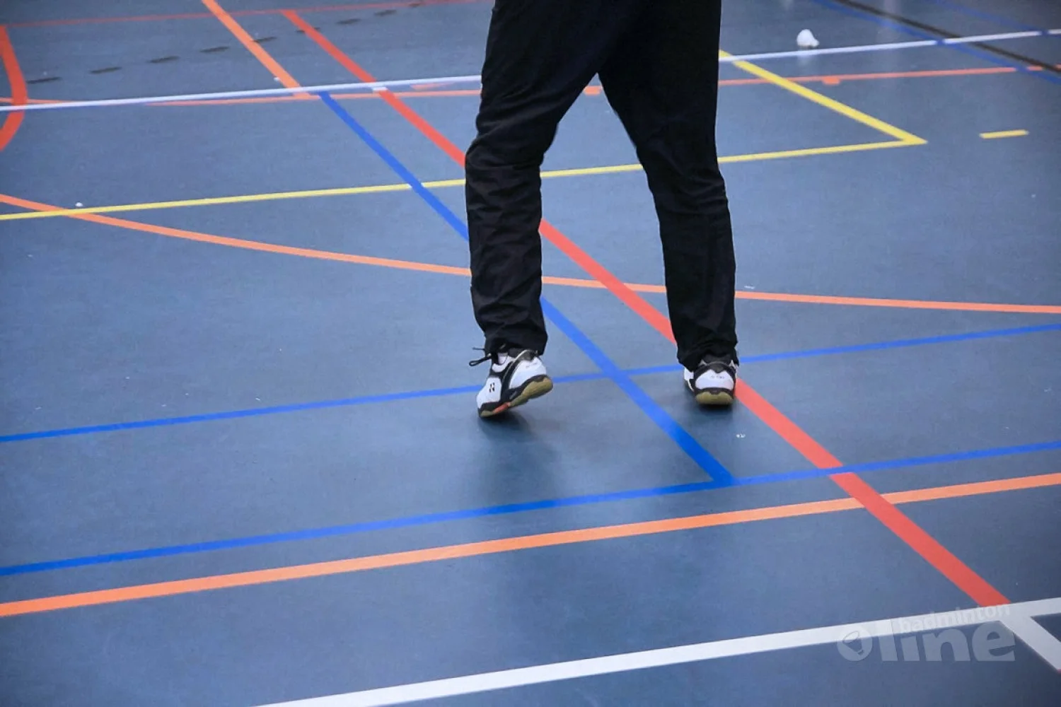 De ontwikkelingpuzzel van jeugdbadmintonners - Deel II