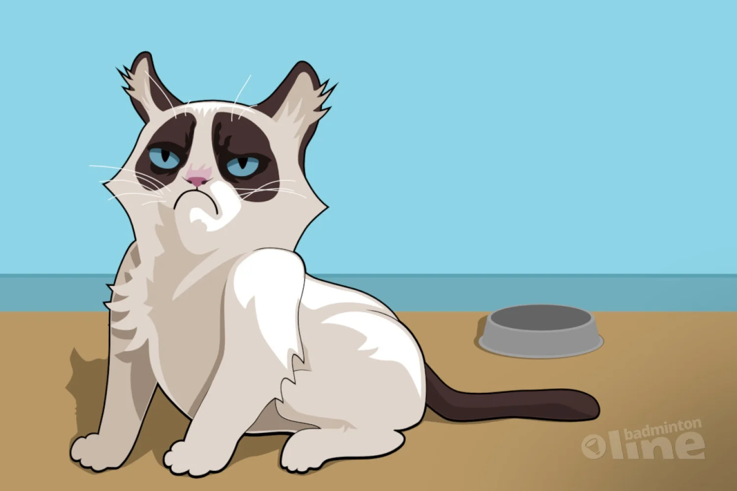 Badminton Nederland: badmintonclubs matig tevreden over Badminton Nederland