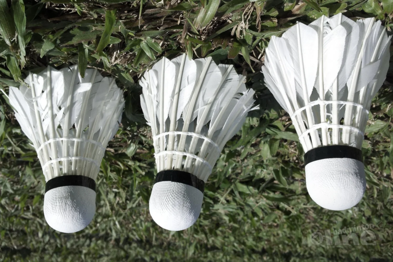 Soraya de Visch Eijbergen haalt en verliest halve finale in Griekenland