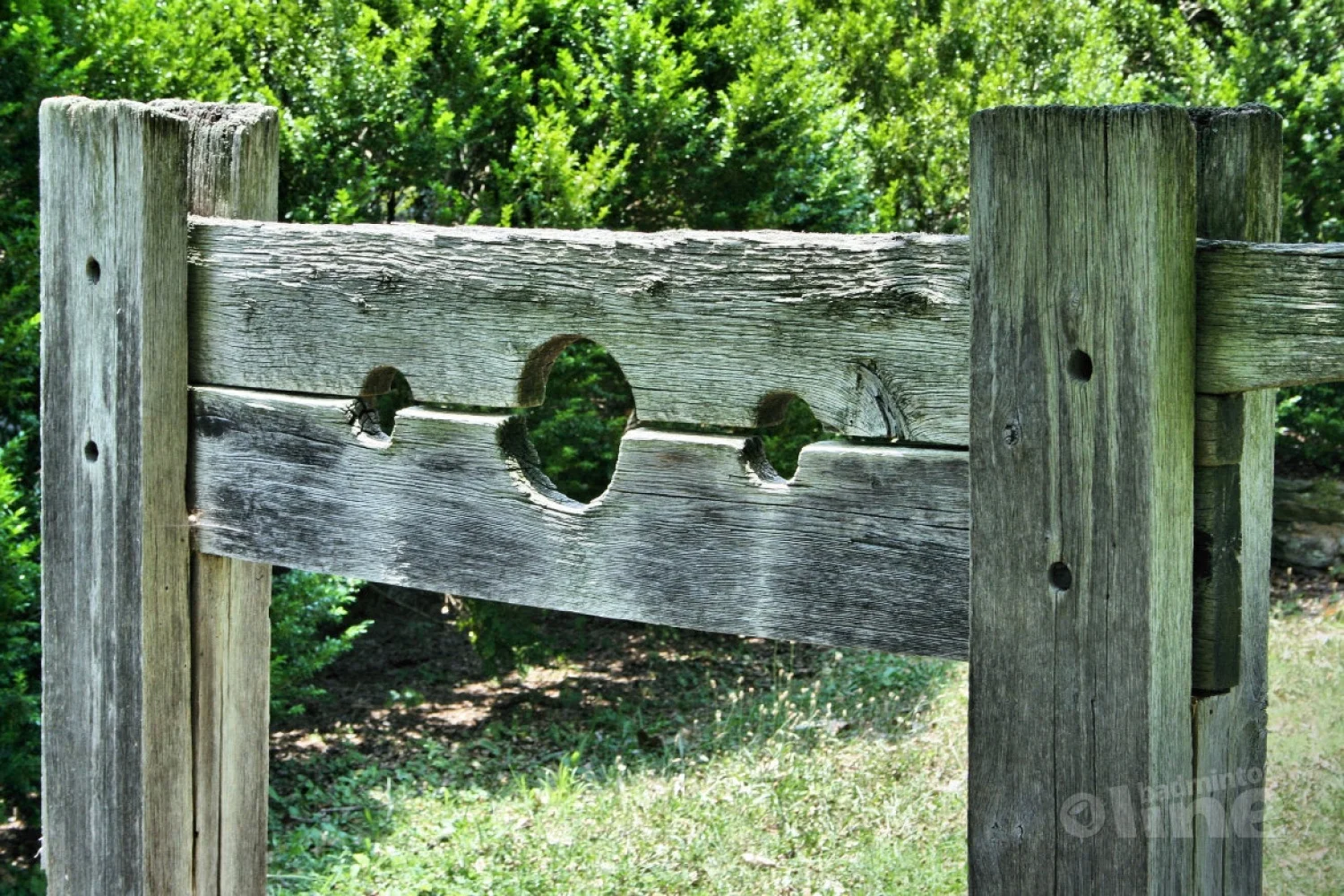 Bestuurslid bij Badminton Nederland: een vernederende functie