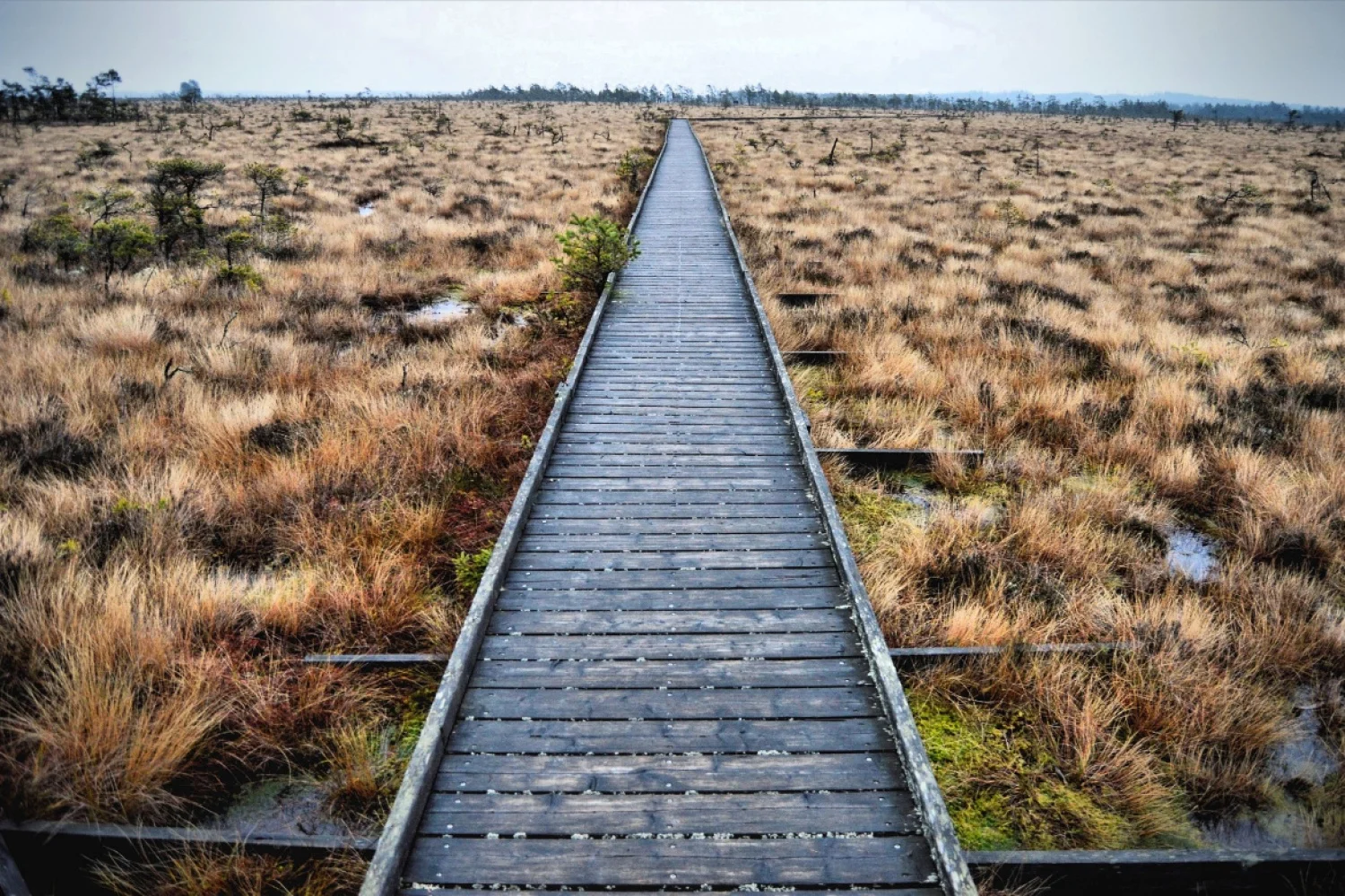 Swedish Open 2018 van start zonder Joran Kweekel