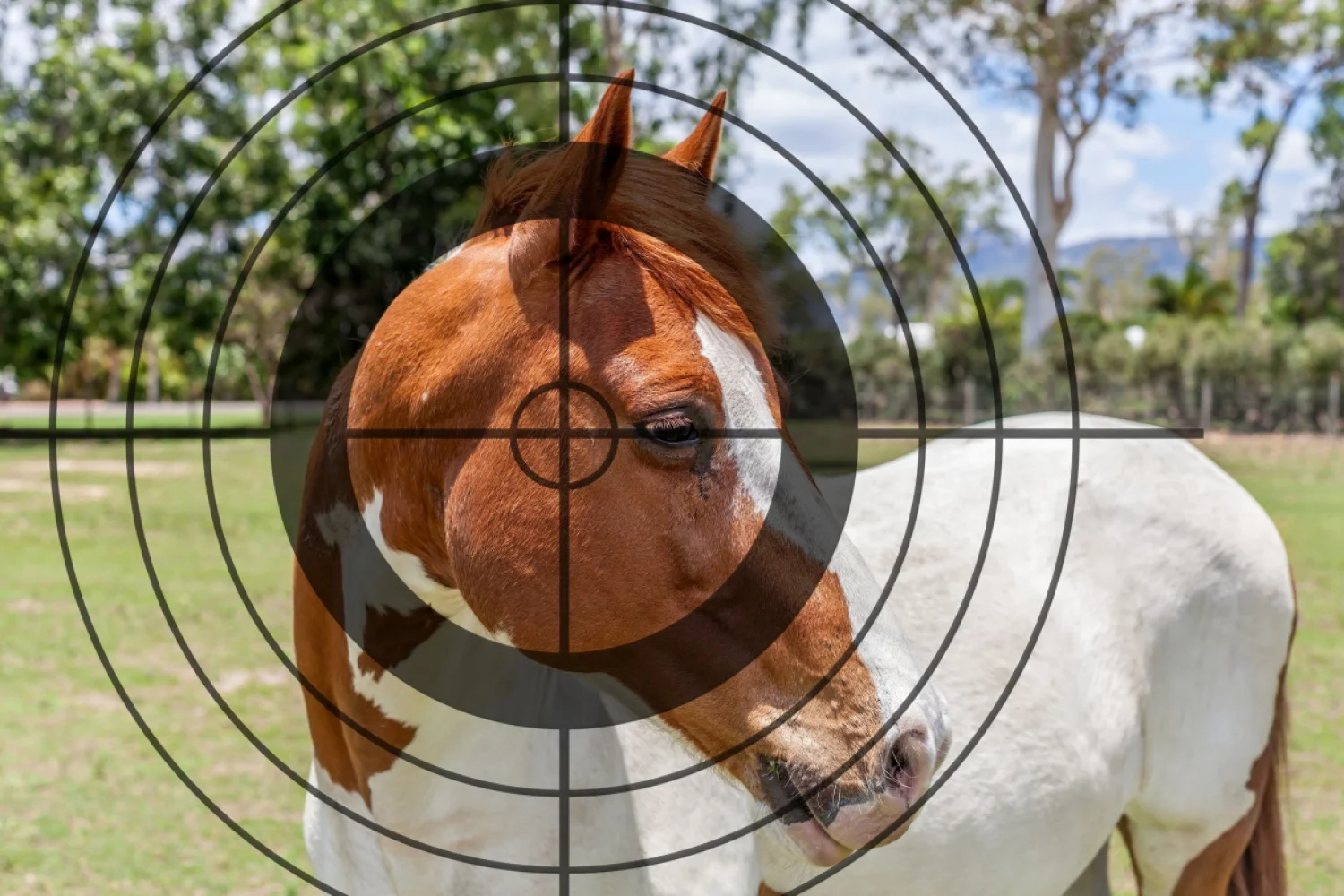 De Badminton Nederland bestuursverkiezing of wat daar voor doorgaat...