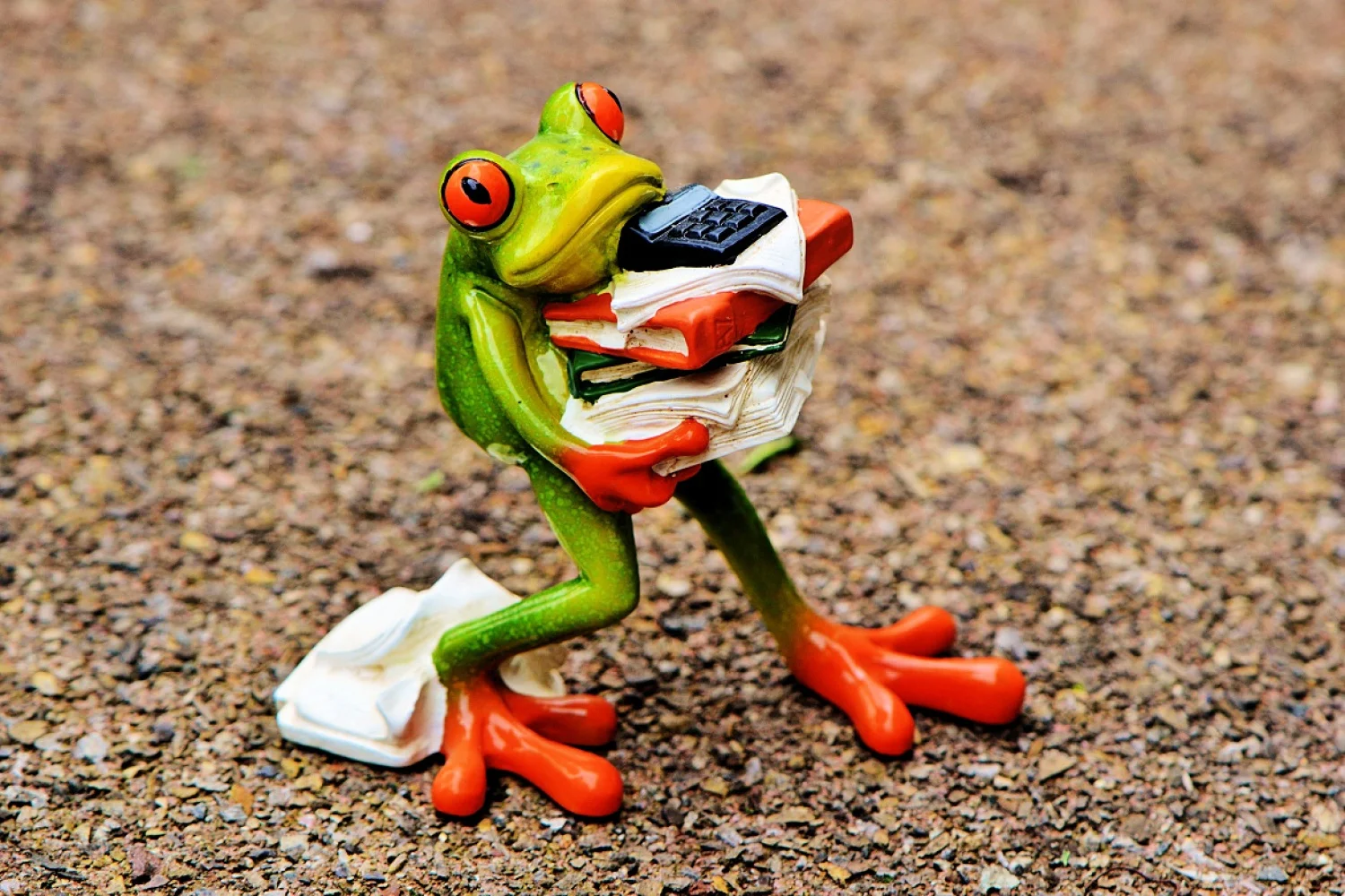 New technical director of Dutch badminton federation has to be immune to stress