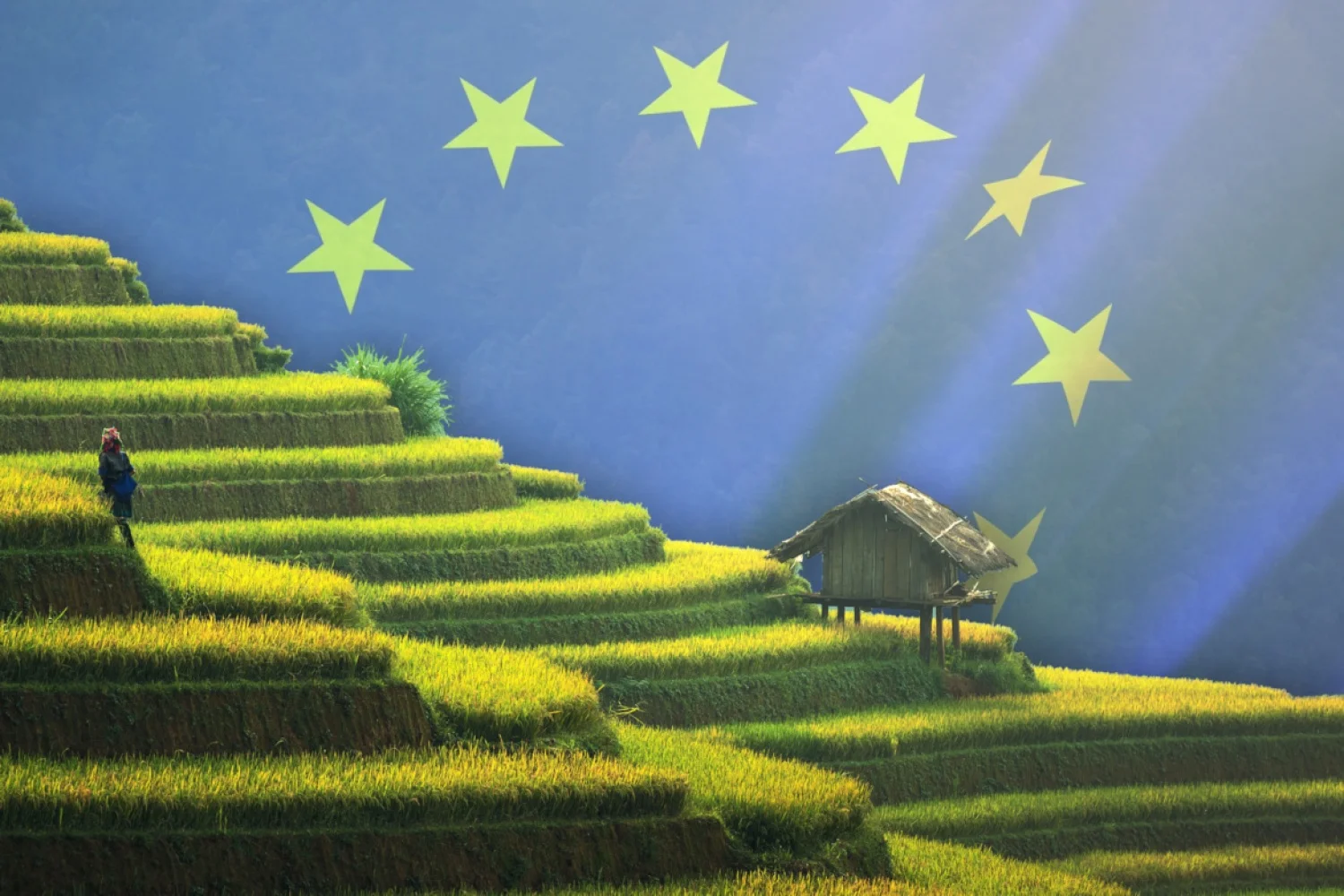 Het moet radicaal anders