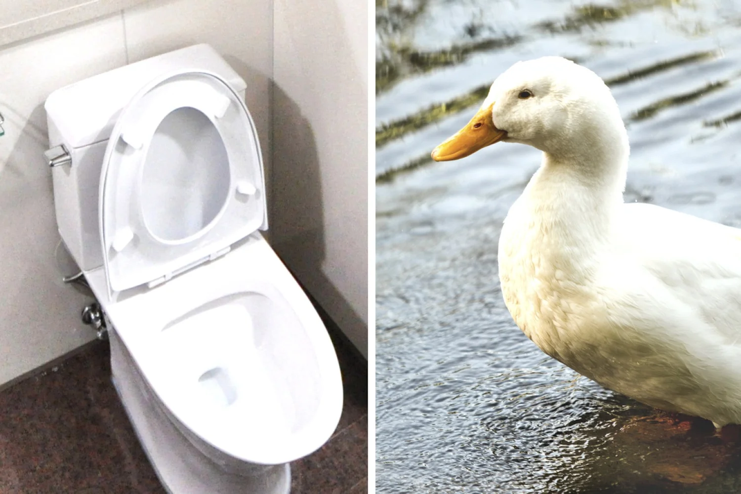 Badminton Nederland noemt zichzelf toonaangevend in de wereld...