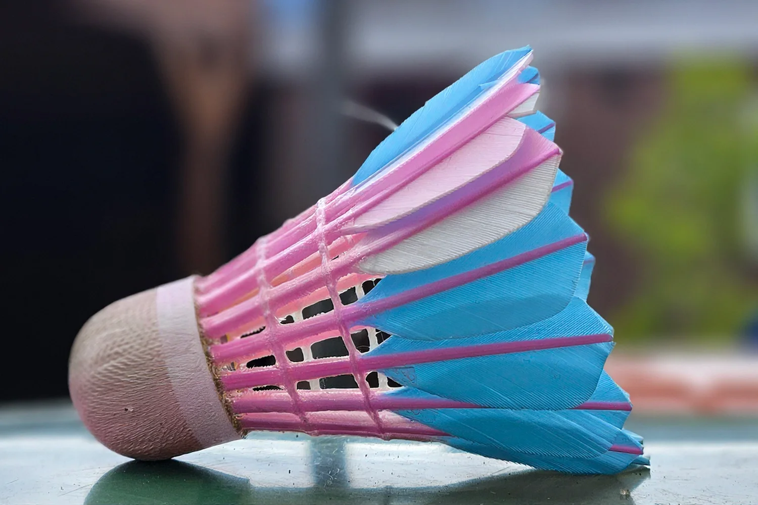 Iedereen welkom in de badmintonhal: het is International Transgender Day of Visibility