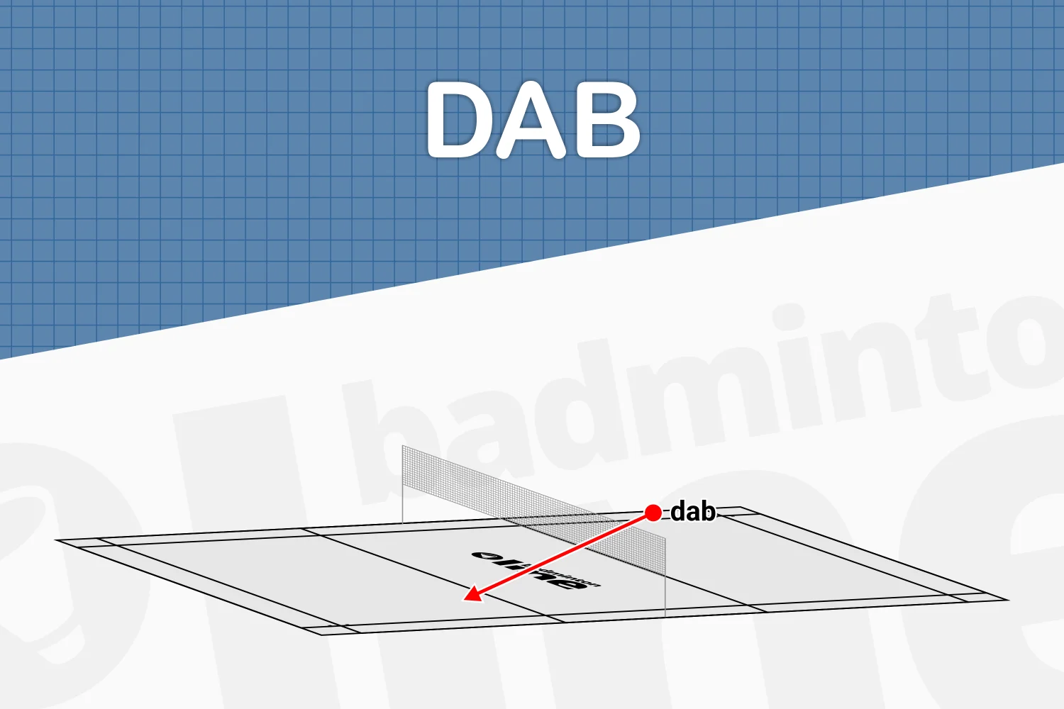 Wat is een dab?