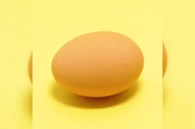 De eredivisie volgens Ted van der Meer