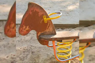 Het Ridder-adept syndroom