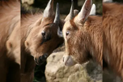 Francien van der Aar: 'Respect!'