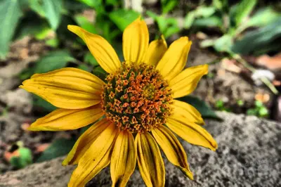 Zomerbadminton bij Slotermeer Amsterdam