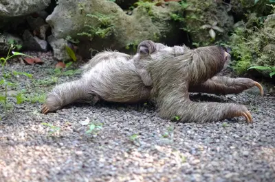 Misschien komt Nederland langzaam in beweging