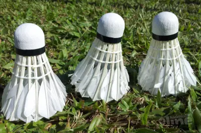 De ontwikkelingpuzzel van jeugdbadmintonners - Deel III